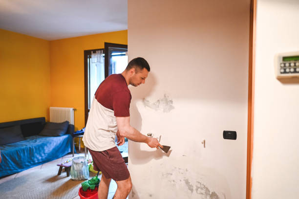 Best Office Mold Removal Services  in Sanger, TX
